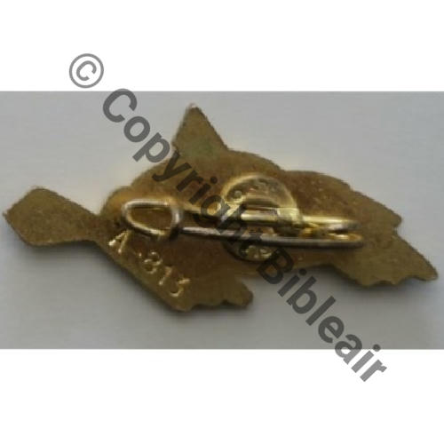 A0813 2e DRILLE EALA 3.4 BONE  AUGIS SM Bol fenetre pastille AUGIS LYON Dos lisse SNH Src.Y.GENTY Collect JM 